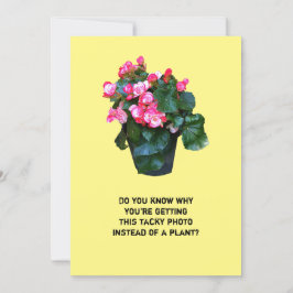 Te recomendamos que te bañes con flores, tarjetas