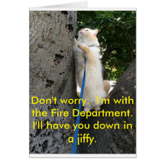 Te tendré en una tontería.