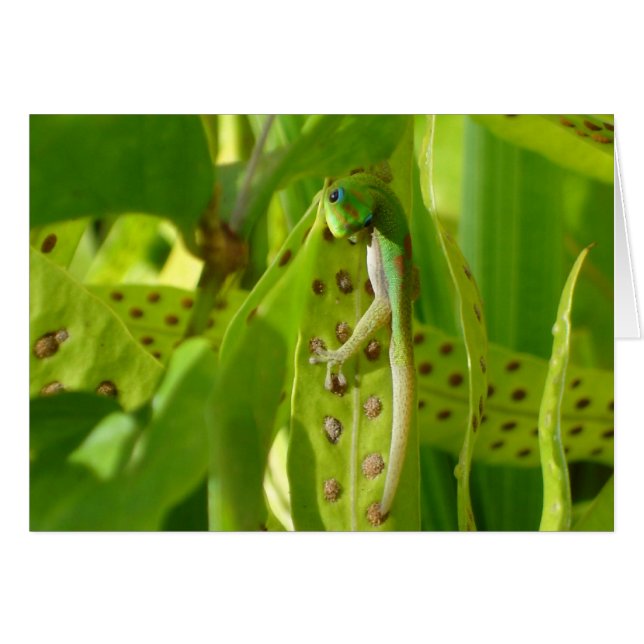 Te Veo (Anverso (Horizontal))