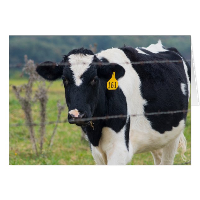 Te Veo (Anverso (Horizontal))