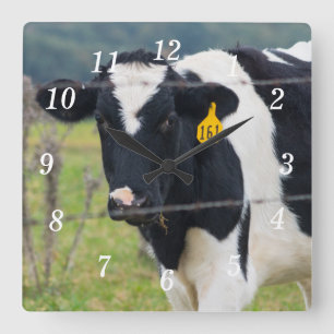 Te Veo Con El Reloj De Pared