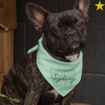 Teal Minimalist Good Girl Custom Name Pet Bandana