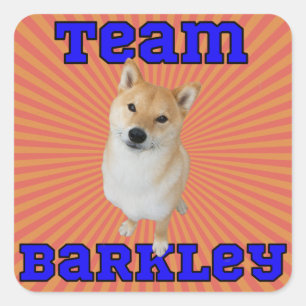 Team Barkley - Pegatinas cuadrados, brillante