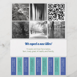 Tear Off Flyer Puppy vendiendo verde azul