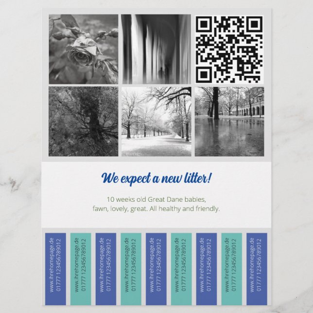 Tear Off Flyer Puppy vendiendo verde azul (Frente)