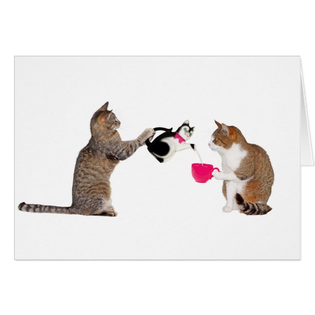 Teatime para gatos gatos (Anverso (Horizontal))