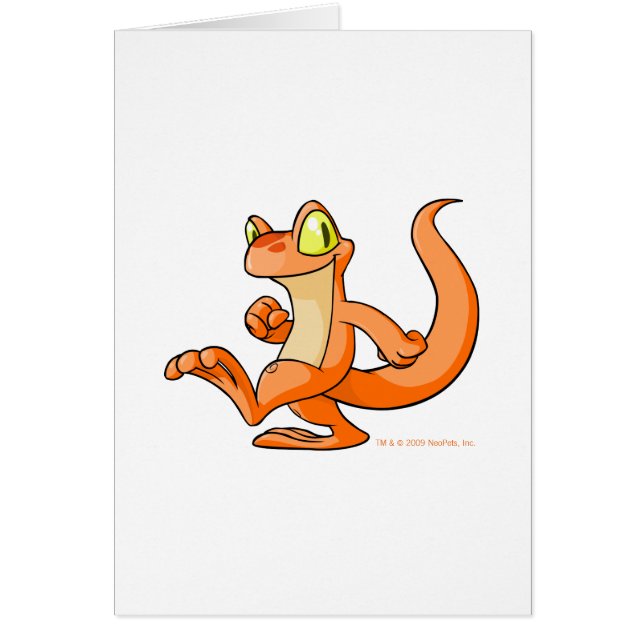 Techo anaranjado en una búsqueda (Frente)