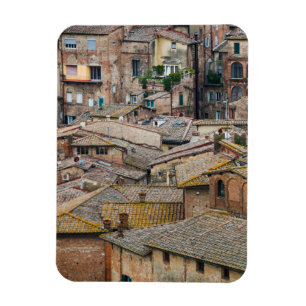 Techos en imán vertical de Siena