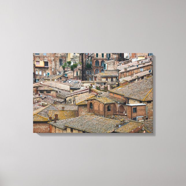 Techos impresos en lienzo de Siena (Anverso)