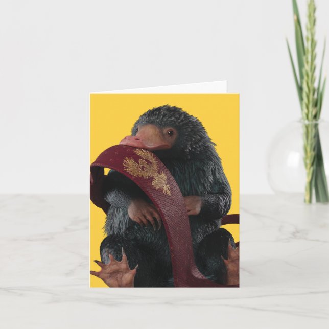 Teddy Con El Gráfico De Tie (Anverso)