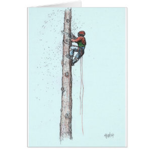Tegando al cirujano arborista