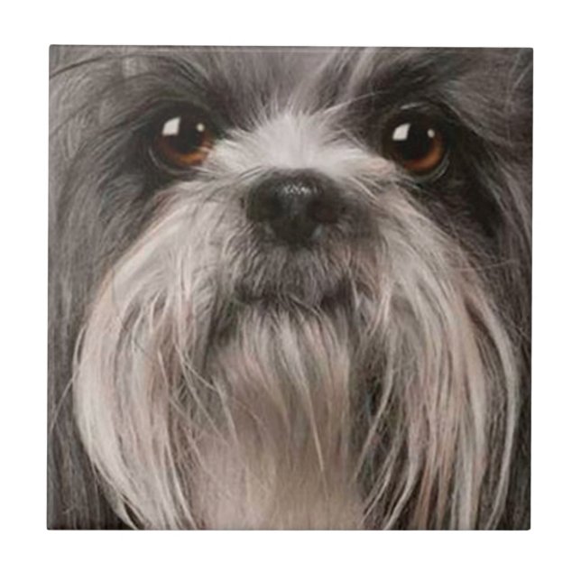 teja 2 del mascota (Frente)