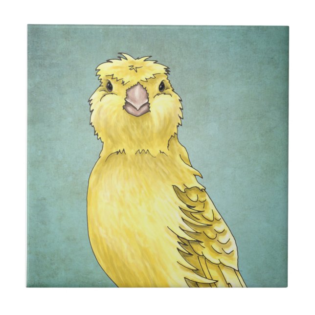 Teja amarilla (Frente)