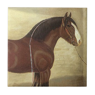 Teja antigua Trivet del caballo de proyecto de