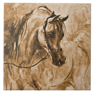 Teja árabe del caballo