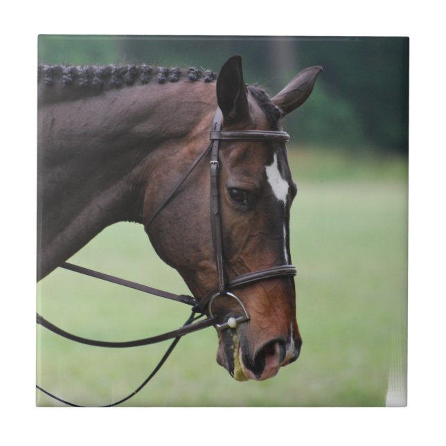 Teja árabe dulce del caballo (Frente)