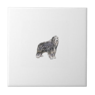 Teja barbuda del collie