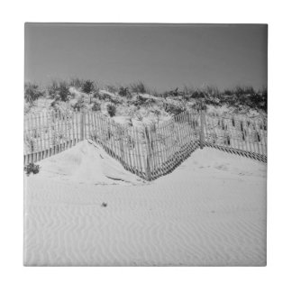 Teja blanco y negro de las dunas de M