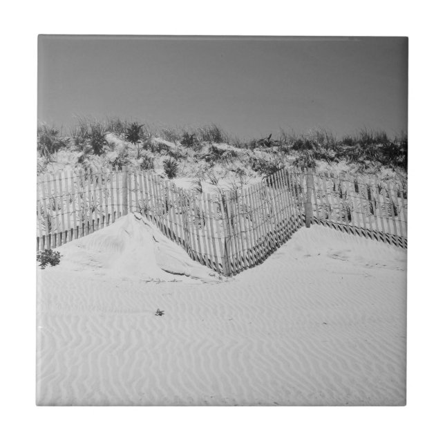 Teja blanco y negro de las dunas de M (Frente)
