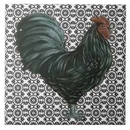 Teja blanco y negro del gallo