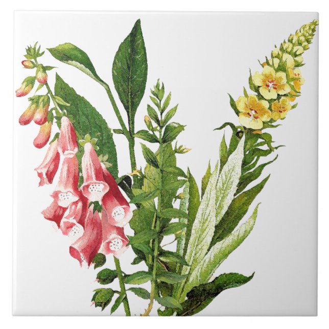 Teja botánica de la flor floral del Foxglove (Frente)