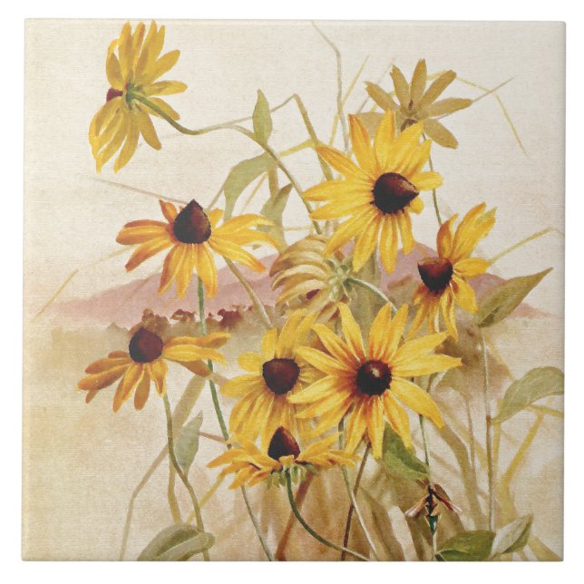 Teja botánica de la flor floral del Wildflower (Frente)