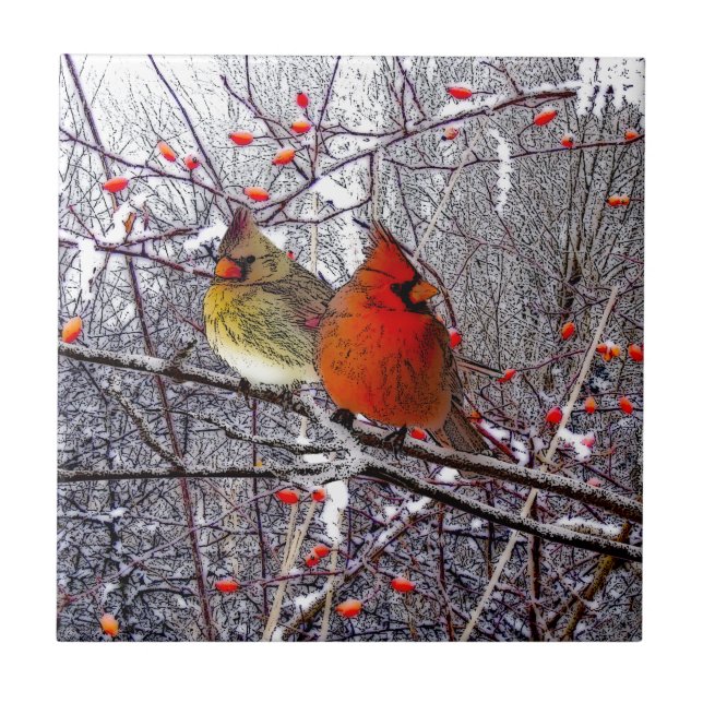 Teja cardinal del bosque (Frente)