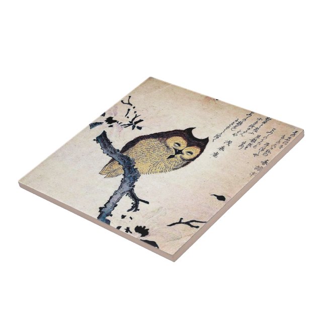 Teja china del búho del vintage - Trivet (Lado)