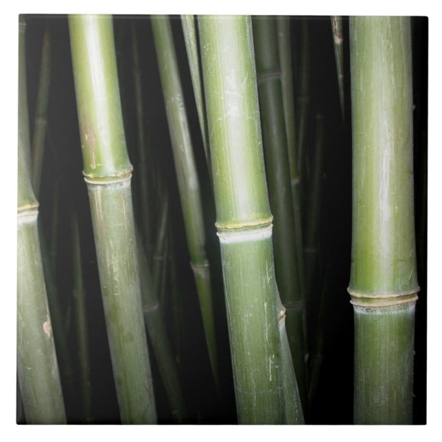 Teja de bambú de la pared del diseño (Frente)