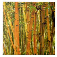 Teja de cerámica de bambú del arte 6 x 6