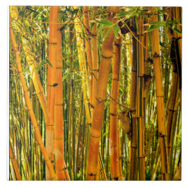 Teja de cerámica de bambú del arte 6 x 6