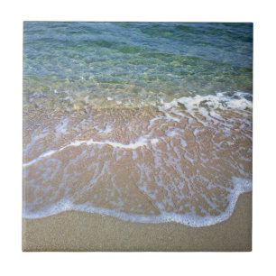 Teja de cerámica de la foto de la playa