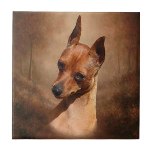 Teja de cerámica de la foto del Pinscher miniatur