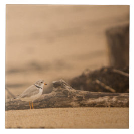 Teja de cerámica grande de la foto del chorlito