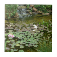 Teja de la charca de Koi