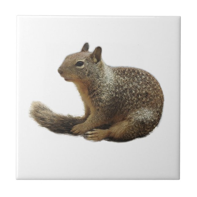 Teja de la fauna, animales de cerámica, salvajes, (Frente)