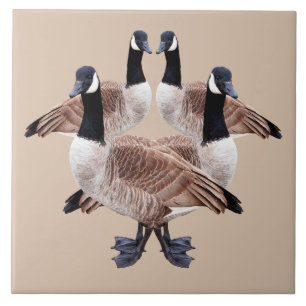 Teja de la fauna, de cerámica, pájaros, gansos,