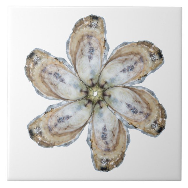 Teja de la flor de la ostra - diseñe un blanco (Frente)