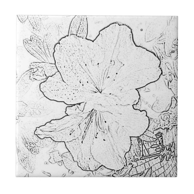 Teja de la flor negra y blanca (Frente)