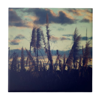 Teja de la naturaleza de la puesta del sol