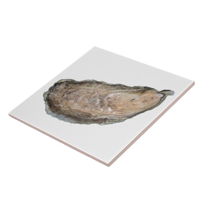 Teja de la ostra - blanco del diseño D (Lado)