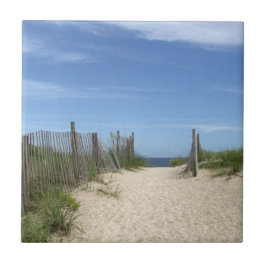 Teja de la playa de Wrightsville del acceso