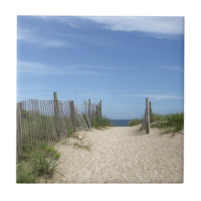 Teja de la playa de Wrightsville del acceso (Frente)