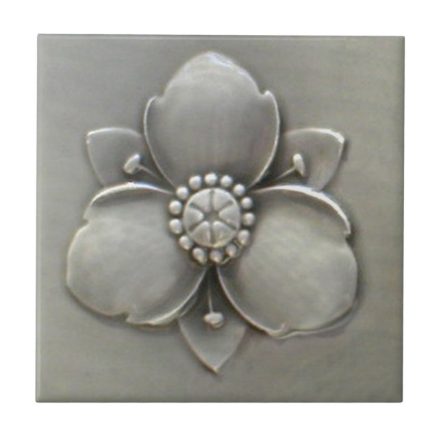 Teja de la reproducción de la antigüedad del (Frente)