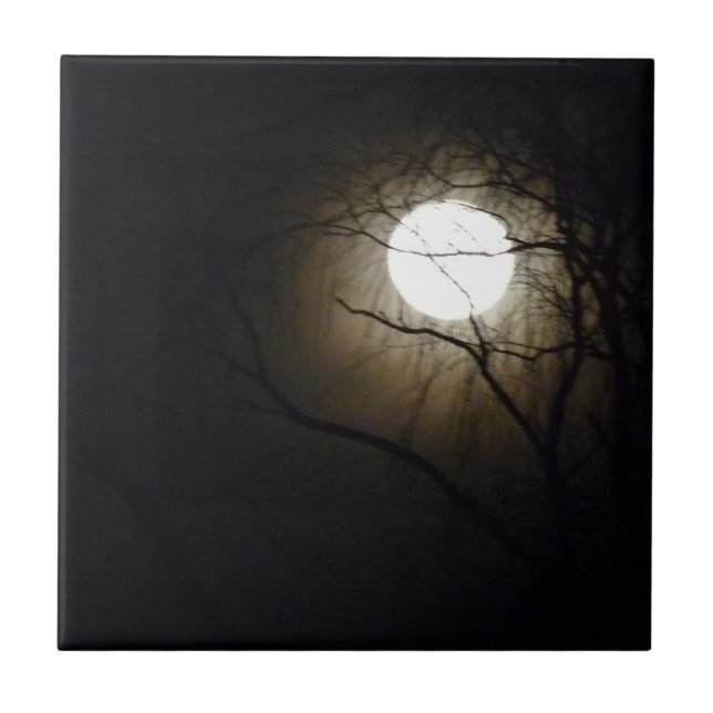 Teja de la salida de la luna (Frente)