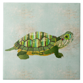 Teja de la tortuga del jade
