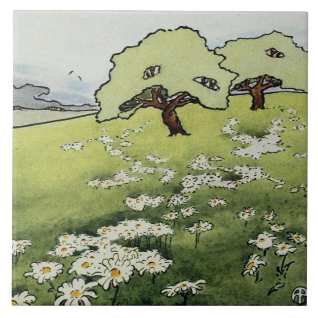 Teja de las margaritas del campo (Frente)