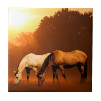 Teja de los caballos de la salida del sol