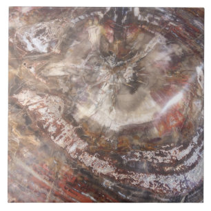 Teja de madera aterrorizada