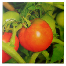 Teja de ruborización/Trivet de la cocina de las